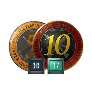 Medalha 5 e 10 anos de serviço