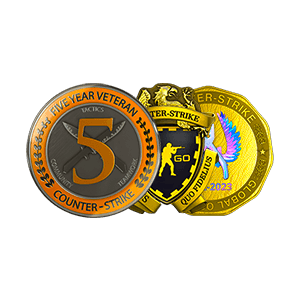 Medalha 5 e 10 anos de serviço