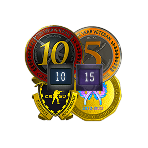 Medalha 5 e 10 anos de serviço