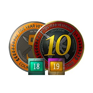 Medalha 5 e 10 anos de serviço