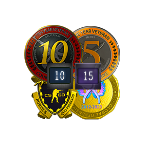 Medalha 5 e 10 anos de serviço